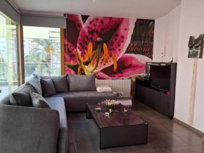 Private Room in Shared Downtown Apartment